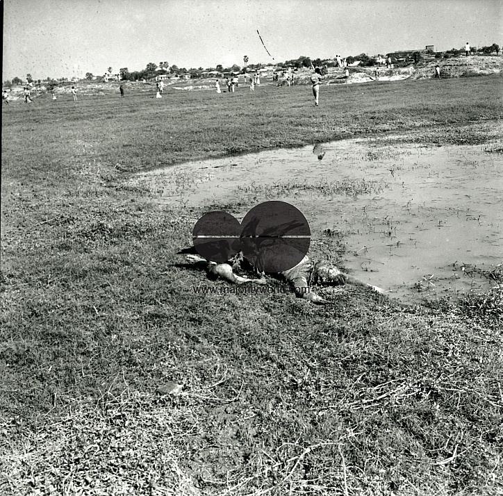 A decomposed body near the Rayer Bazar killing ground in Mohammadpur. During the Liberation War, thousands of civilians, including many intellectuals, were killed here by the Pakistani military and its local collaborators. Today, the site is known as Rayer Bazar Boddho Bhumi. Photographer: Rashid Talukder/ Majority World.